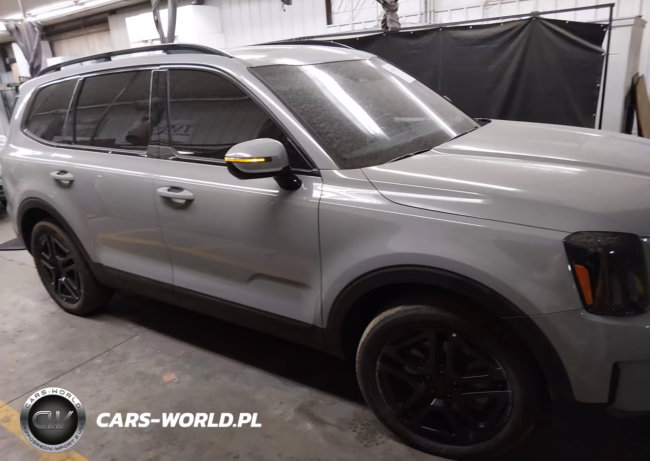 2025 Kia Telluride Sx Prestige X-Line VIN:5XYP5DGC0SG673939 - 13