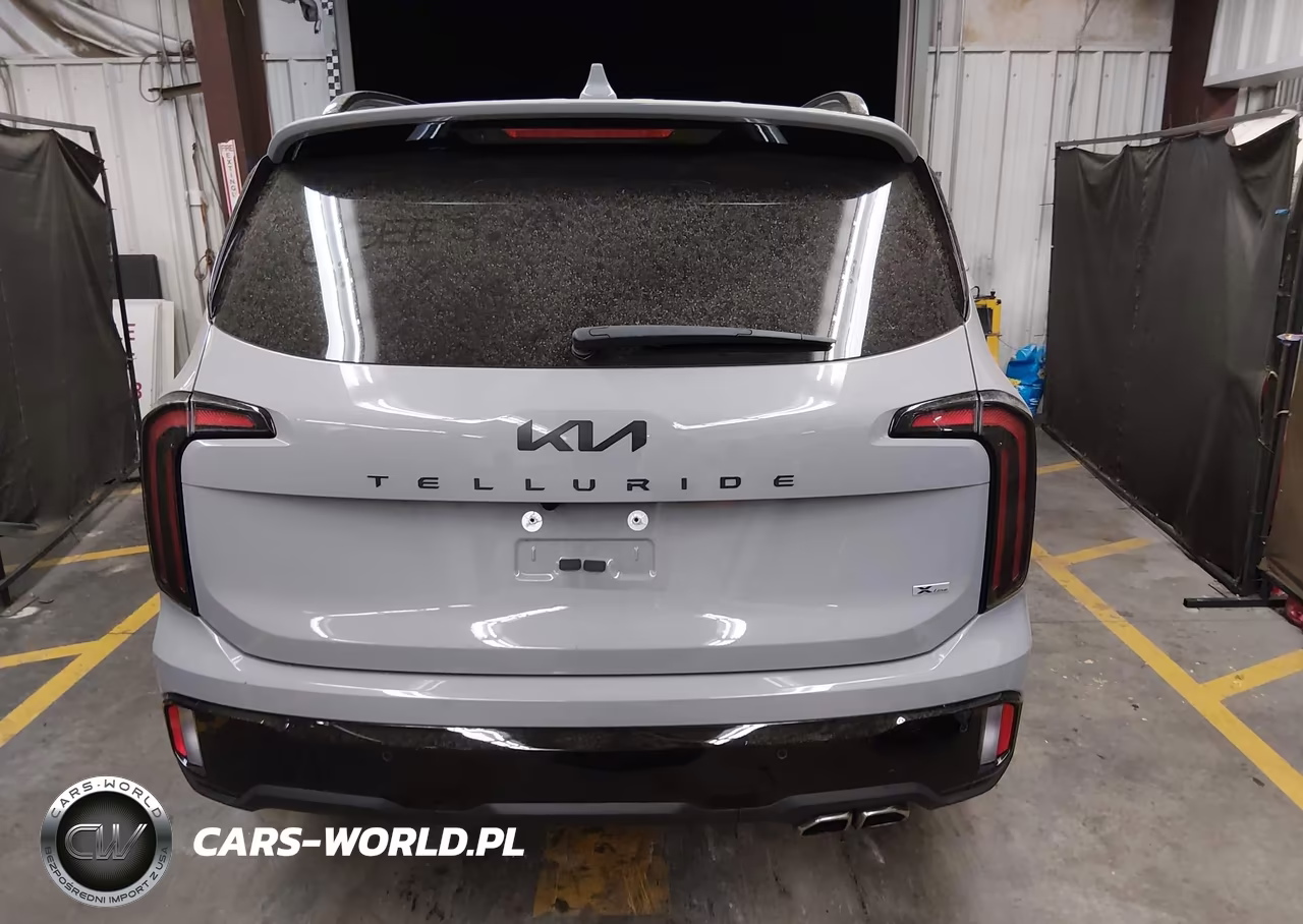 2025 Kia Telluride Sx Prestige X-Line VIN:5XYP5DGC0SG673939 - 16