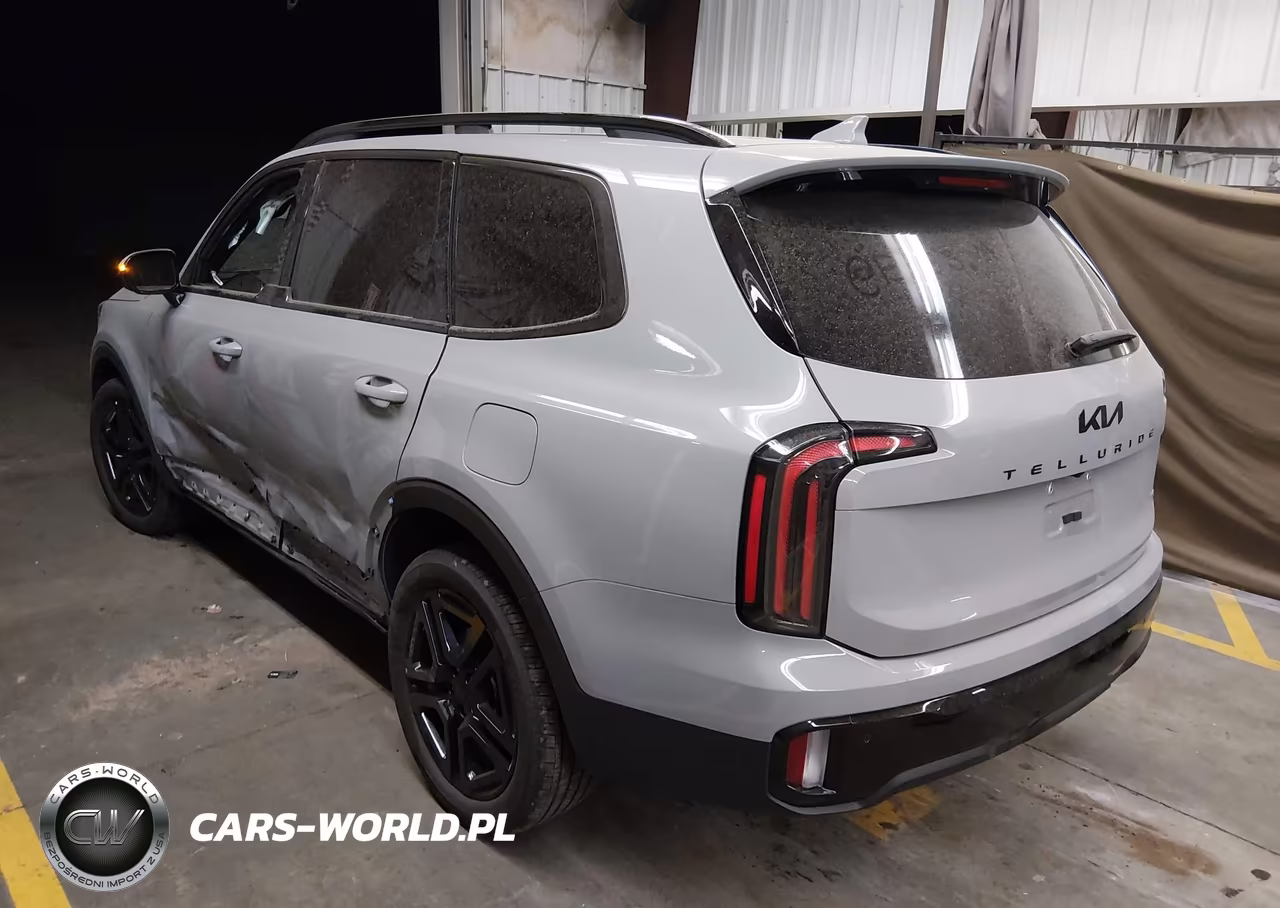 2025 Kia Telluride Sx Prestige X-Line VIN:5XYP5DGC0SG673939 - 3