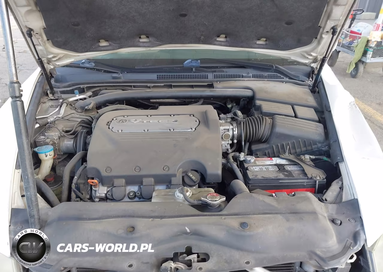 2004 Acura Tl VIN:19UUA662X4A041666 - 10