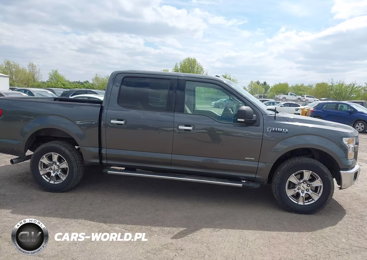 2016 Ford F-150 Xlt VIN:1FTEW1EP5GFB67008 - 13