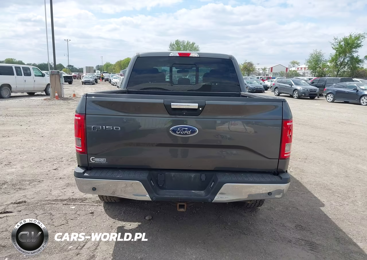 2016 Ford F-150 Xlt VIN:1FTEW1EP5GFB67008 - 16