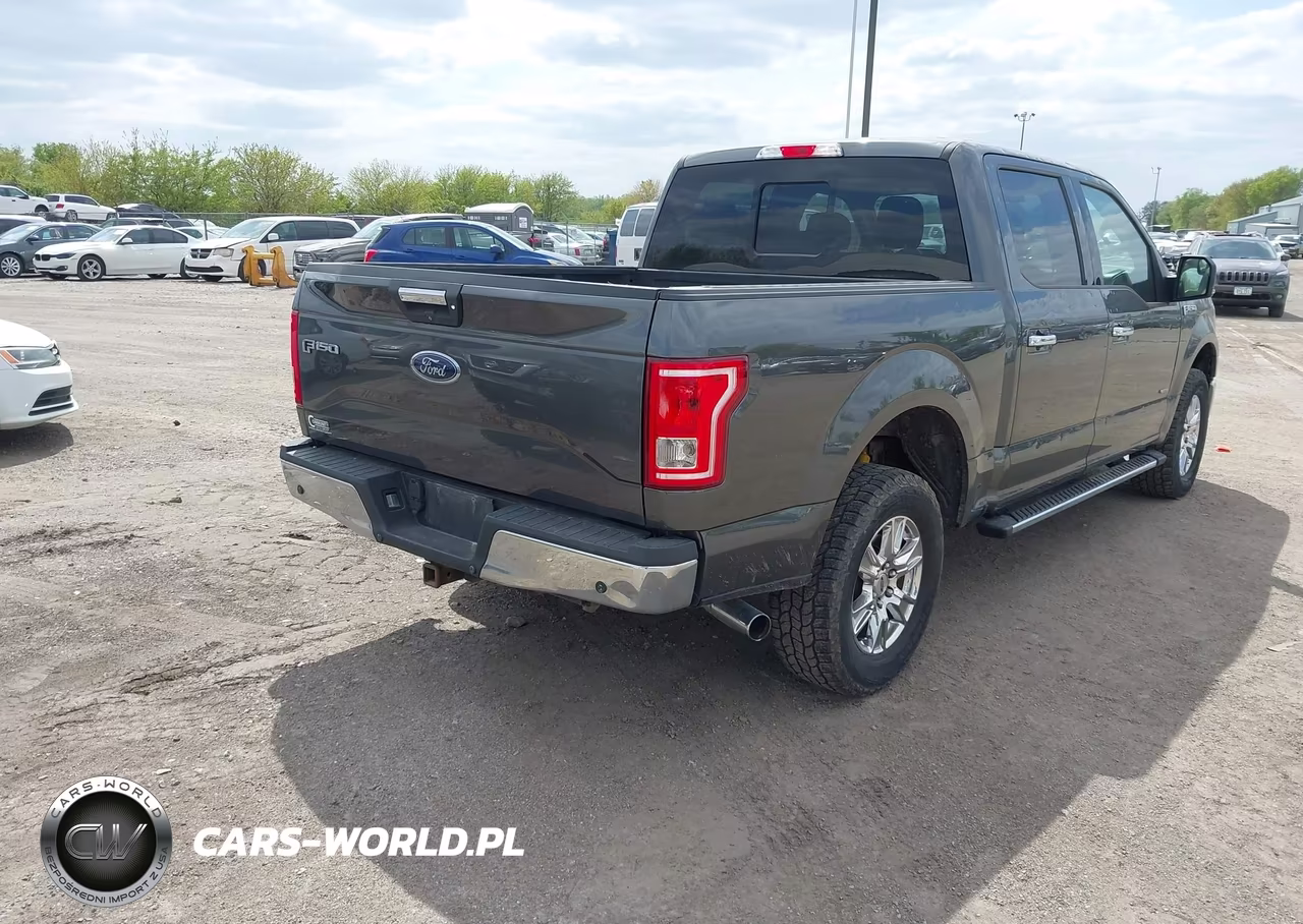 2016 Ford F-150 Xlt VIN:1FTEW1EP5GFB67008 - 4