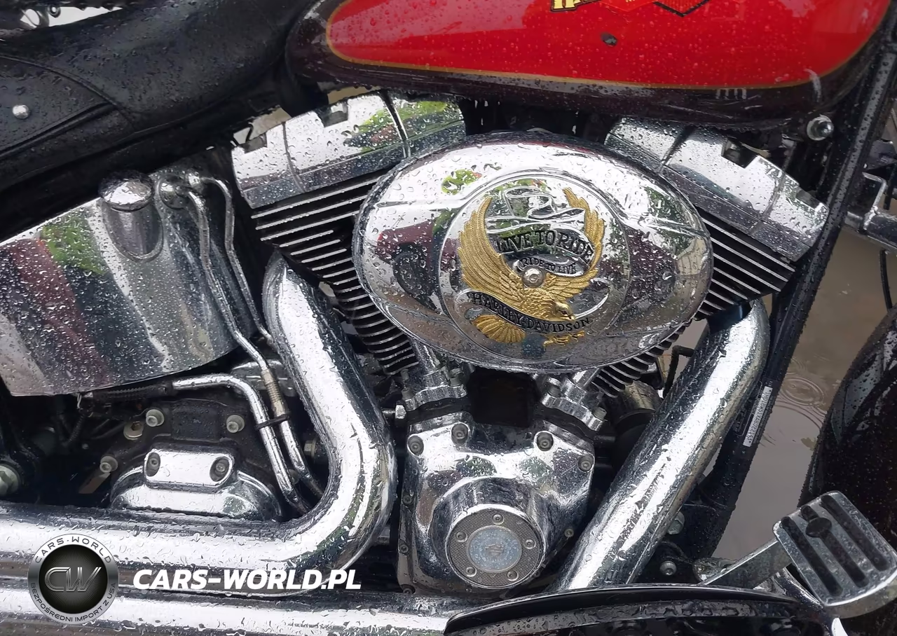2010 Harley-Davidson Flstc VIN:1HD1BW51XAB022143 - 8