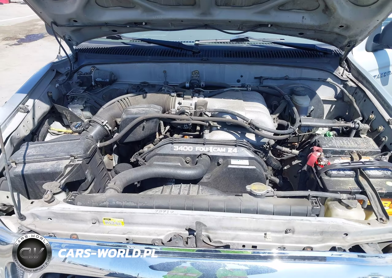 2003 Toyota Tacoma Prerunner V6 VIN:5TESN92N53Z194178 - 10
