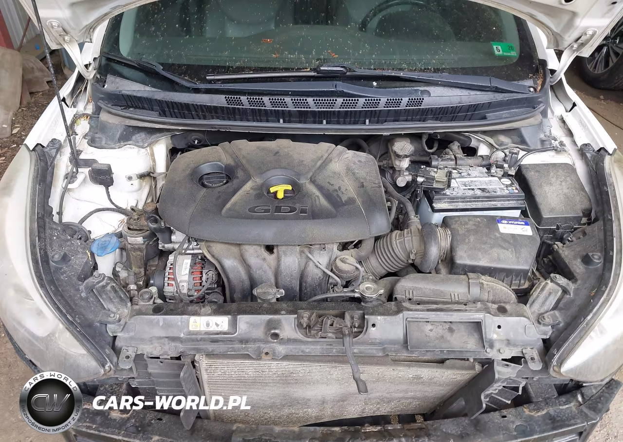 2015 Hyundai Elantra Sport VIN:KMHDH4AH2FU231386 - 10