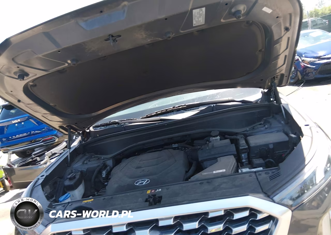 2020 Hyundai Palisade Sel VIN:KM8R2DHEXLU141269 - 10