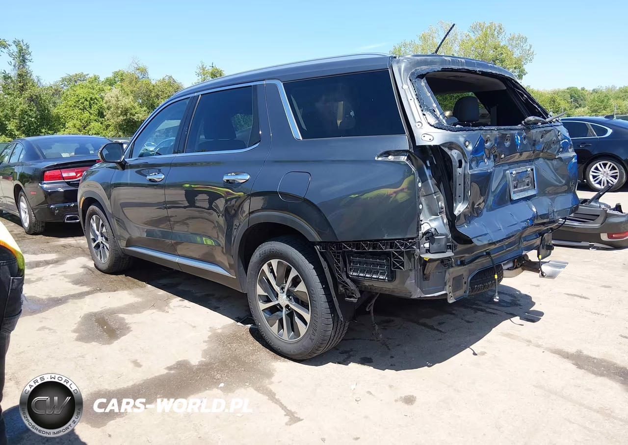 2020 Hyundai Palisade Sel VIN:KM8R2DHEXLU141269 - 3