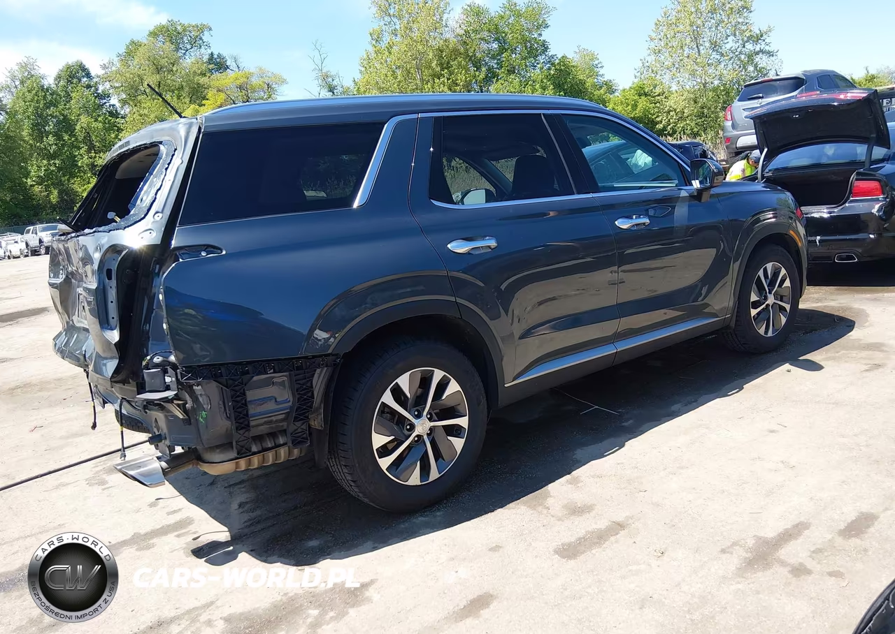2020 Hyundai Palisade Sel VIN:KM8R2DHEXLU141269 - 4