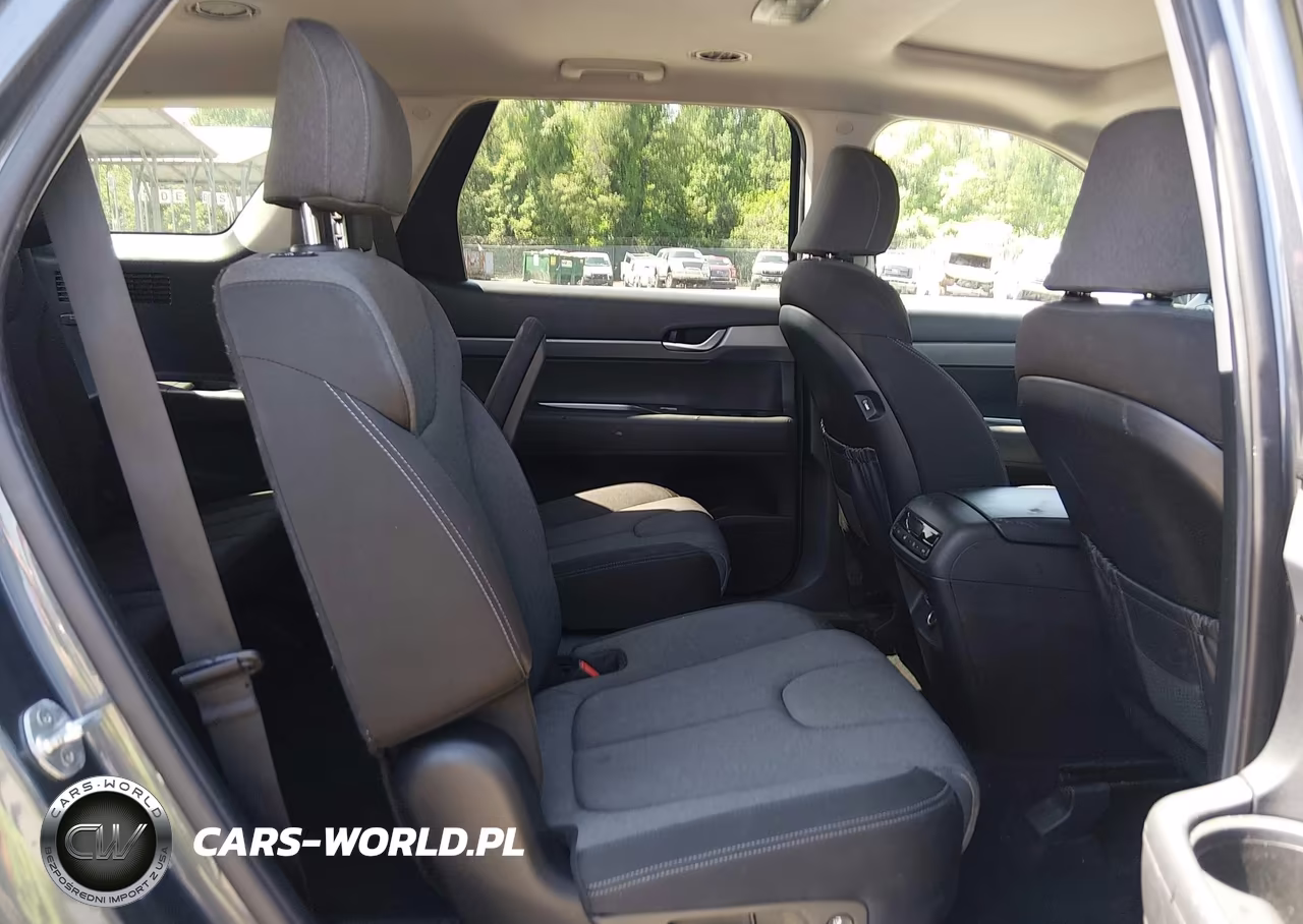 2020 Hyundai Palisade Sel VIN:KM8R2DHEXLU141269 - 8