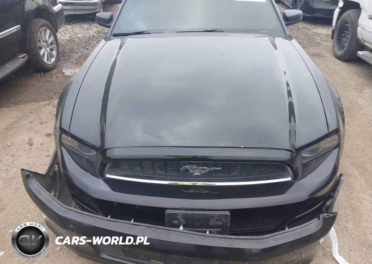 2014 Ford Mustang V6 VIN:1ZVBP8AM4E5326511 - 13