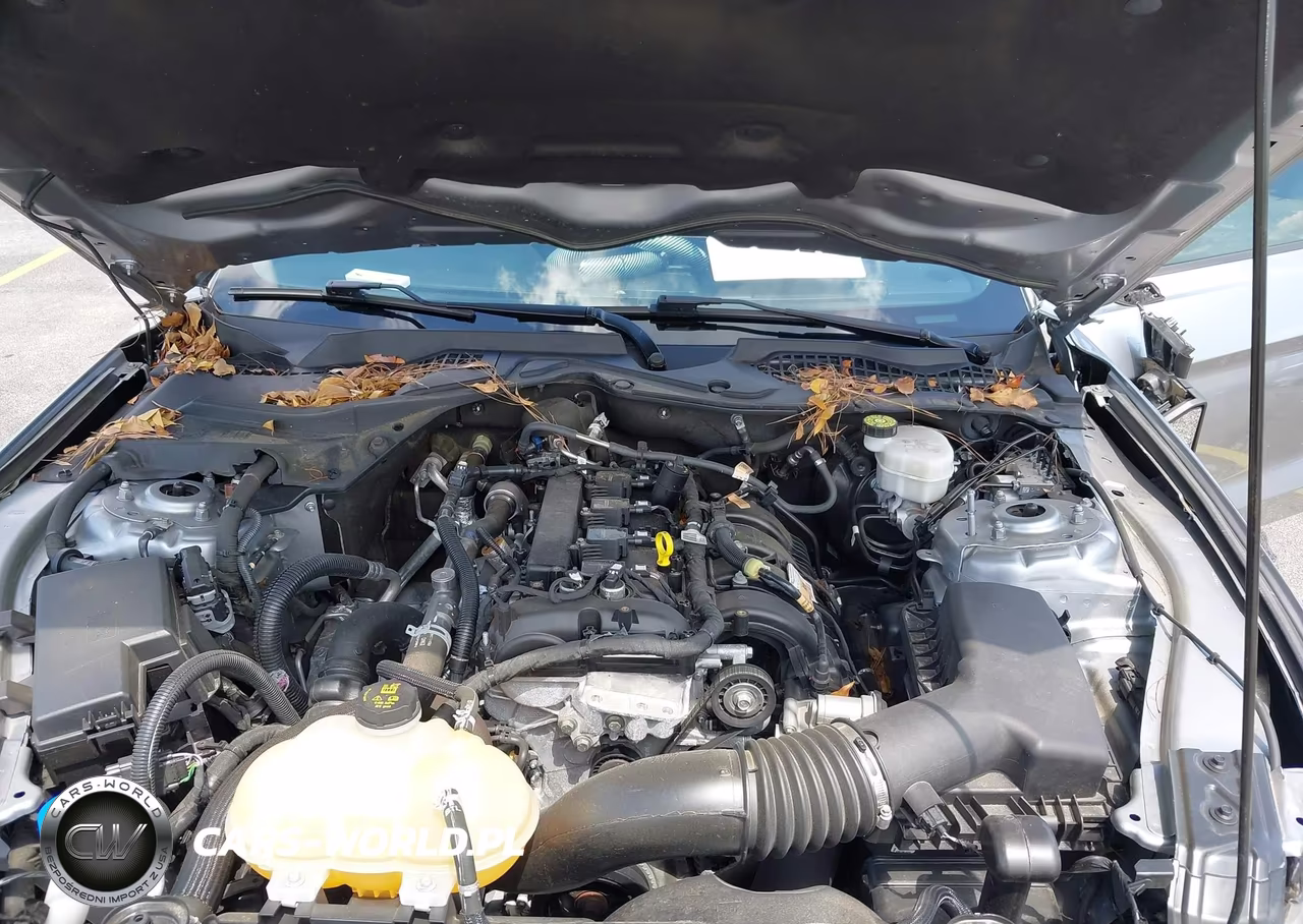 2022 Ford Mustang Ecoboost Fastback VIN:1FA6P8TH7N5134428 - 10