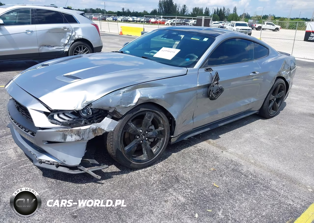 2022 Ford Mustang Ecoboost Fastback VIN:1FA6P8TH7N5134428 - 2