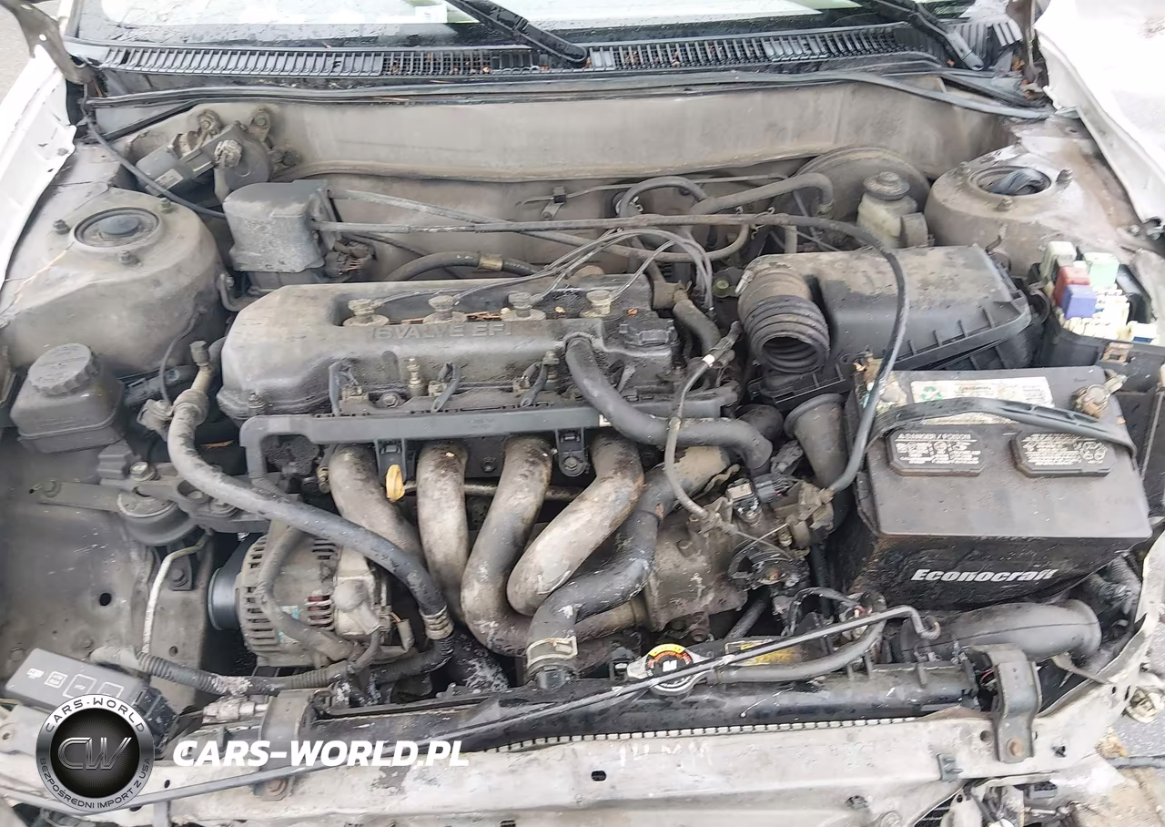 1999 Toyota Corolla Ce VIN:1NXBR12E6XZ282799 - 10