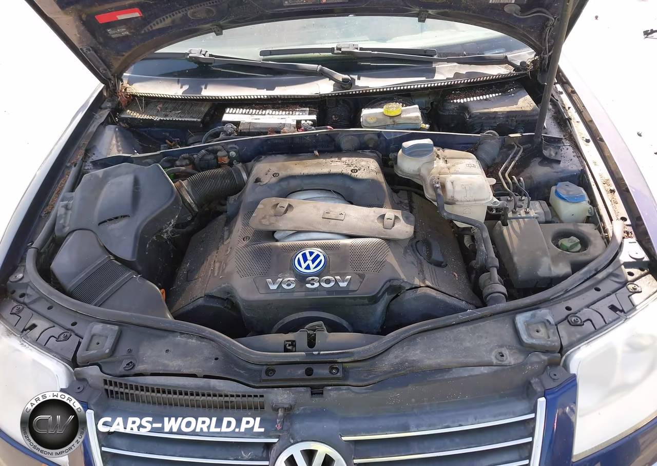 2003 Volkswagen Passat Glx VIN:WVWRH63B23P001534 - 10