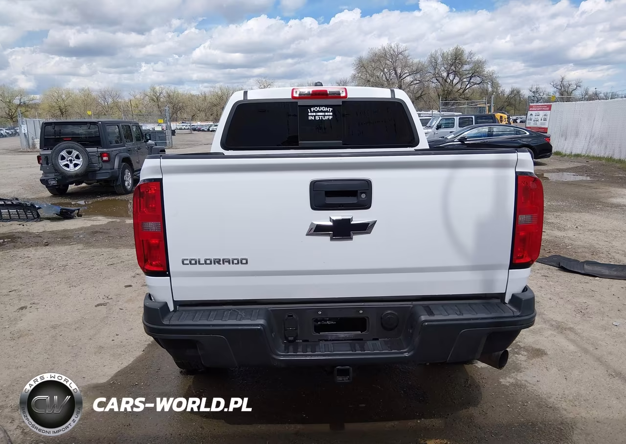 2018 Chevrolet Colorado Zr2 VIN:1GCPTEE16J1110082 - 16