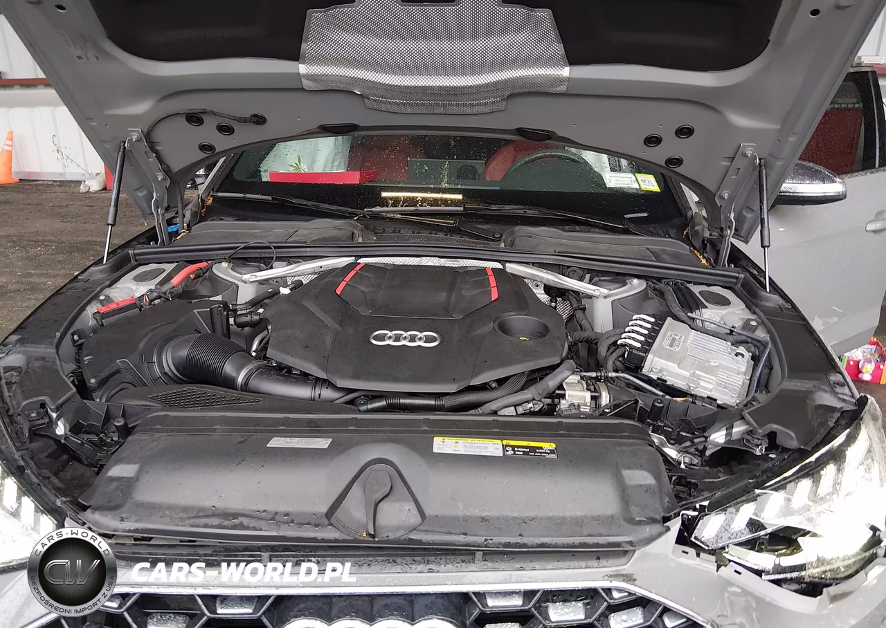 2022 Audi S4 Premium Plus Tfsi Quattro Tiptronic VIN:WAUB4AF4XNA019991 - 10