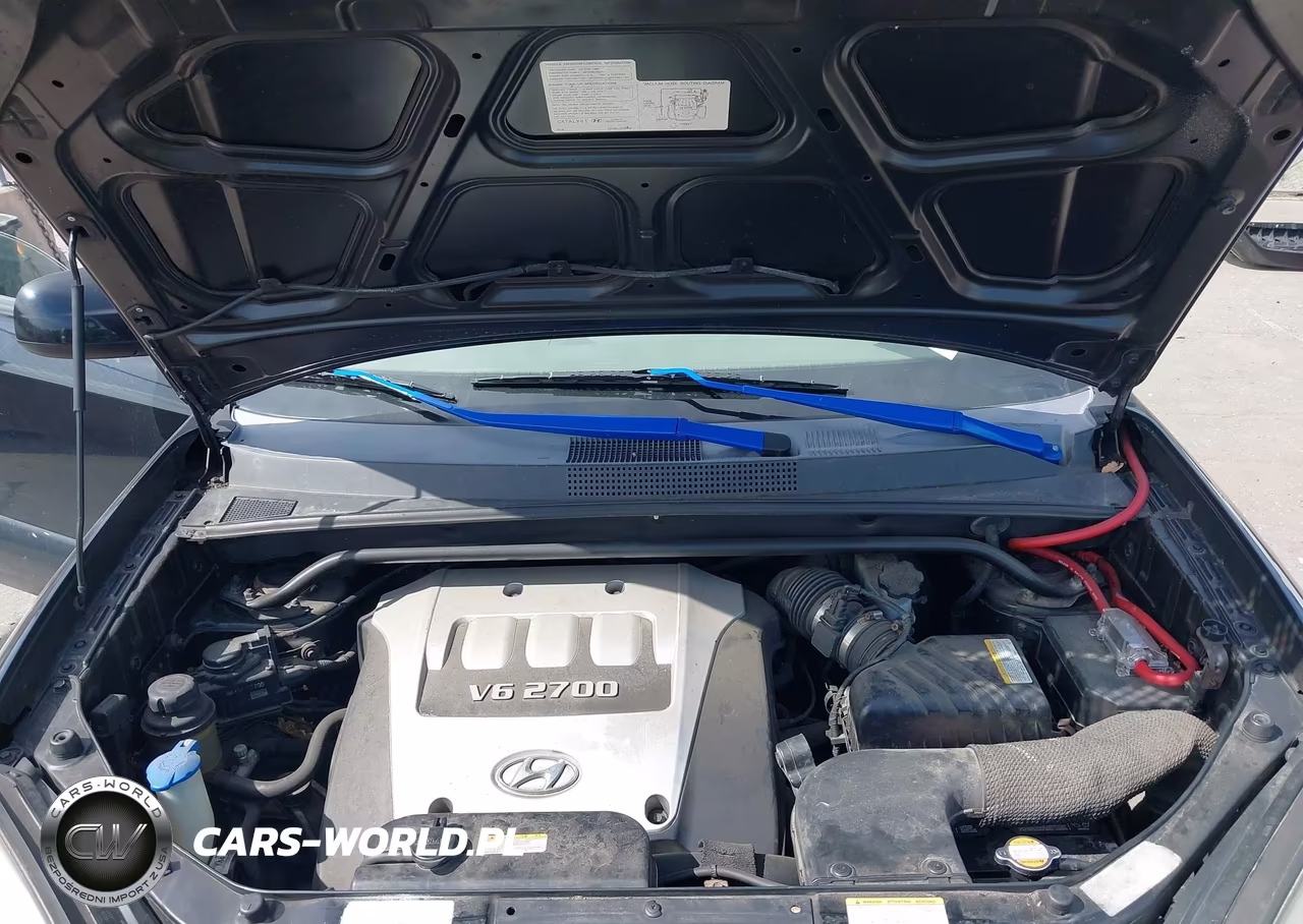 2006 Hyundai Tucson Gls-Limited VIN:KM8JN12D56U319807 - 10