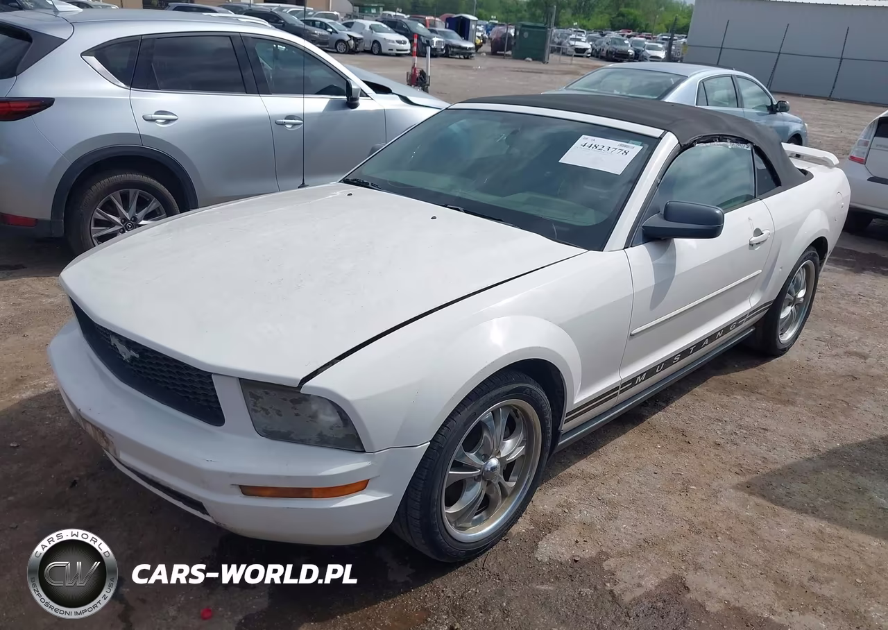 2005 Ford Mustang VIN:1ZVFT84N555197776 - 2