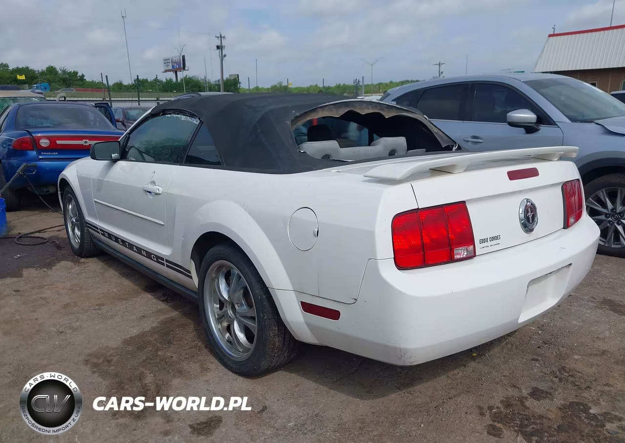 2005 Ford Mustang VIN:1ZVFT84N555197776 - 3