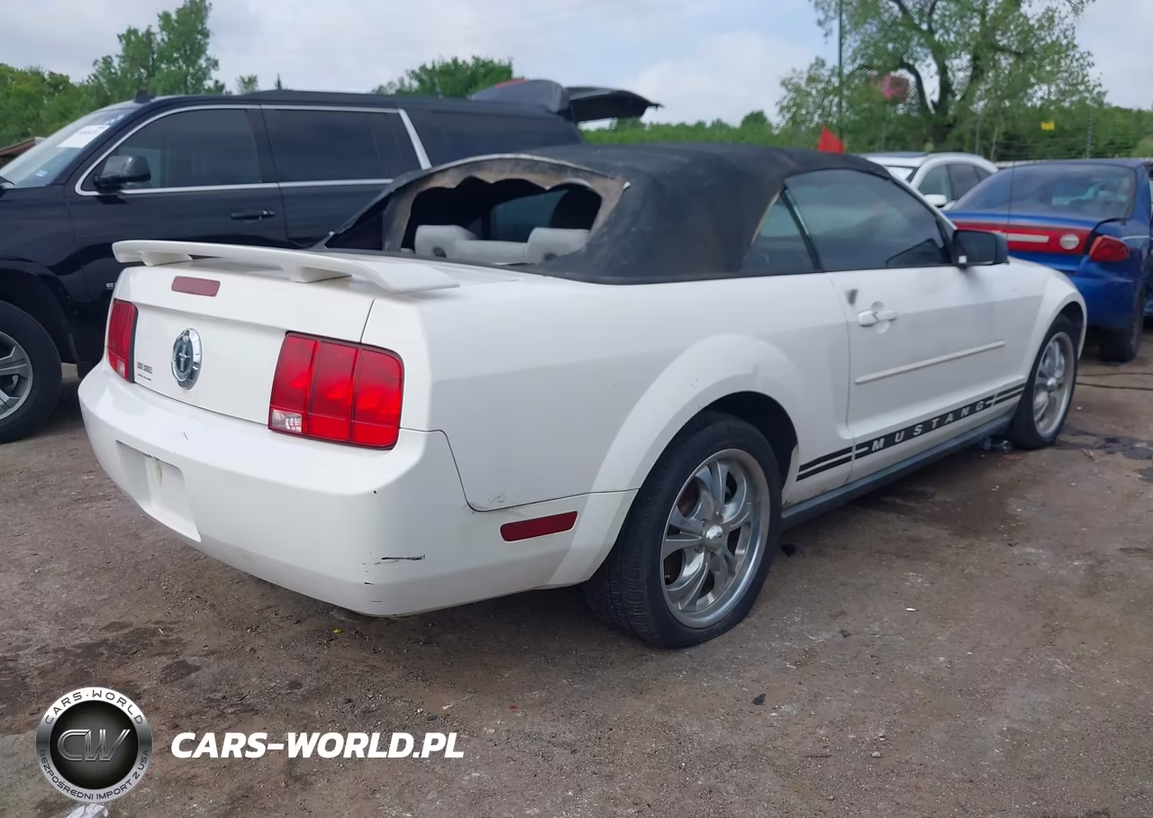 2005 Ford Mustang VIN:1ZVFT84N555197776 - 4
