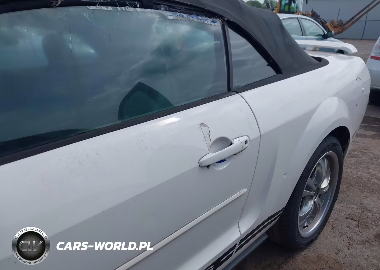 2005 Ford Mustang VIN:1ZVFT84N555197776 - 6