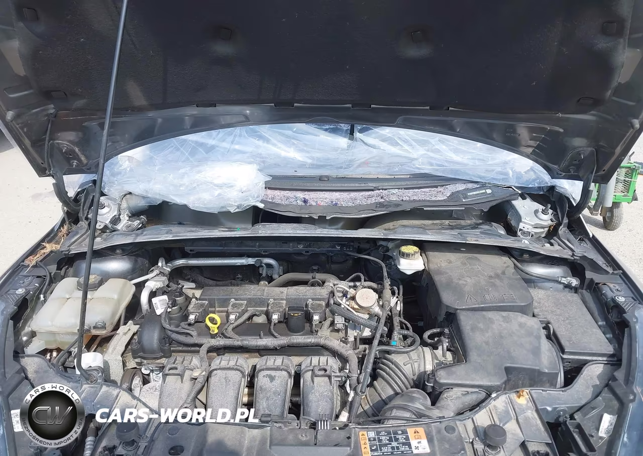 2017 Ford Focus Sel VIN:1FADP3M2XHL326494 - 10