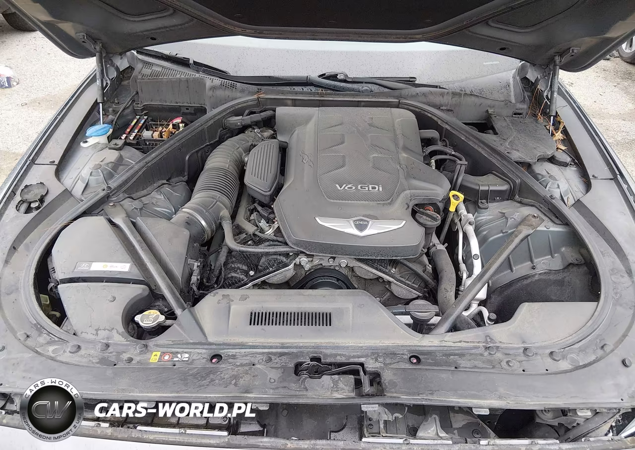 2015 Hyundai Genesis 3.8 VIN:KMHGN4JE4FU053556 - 10