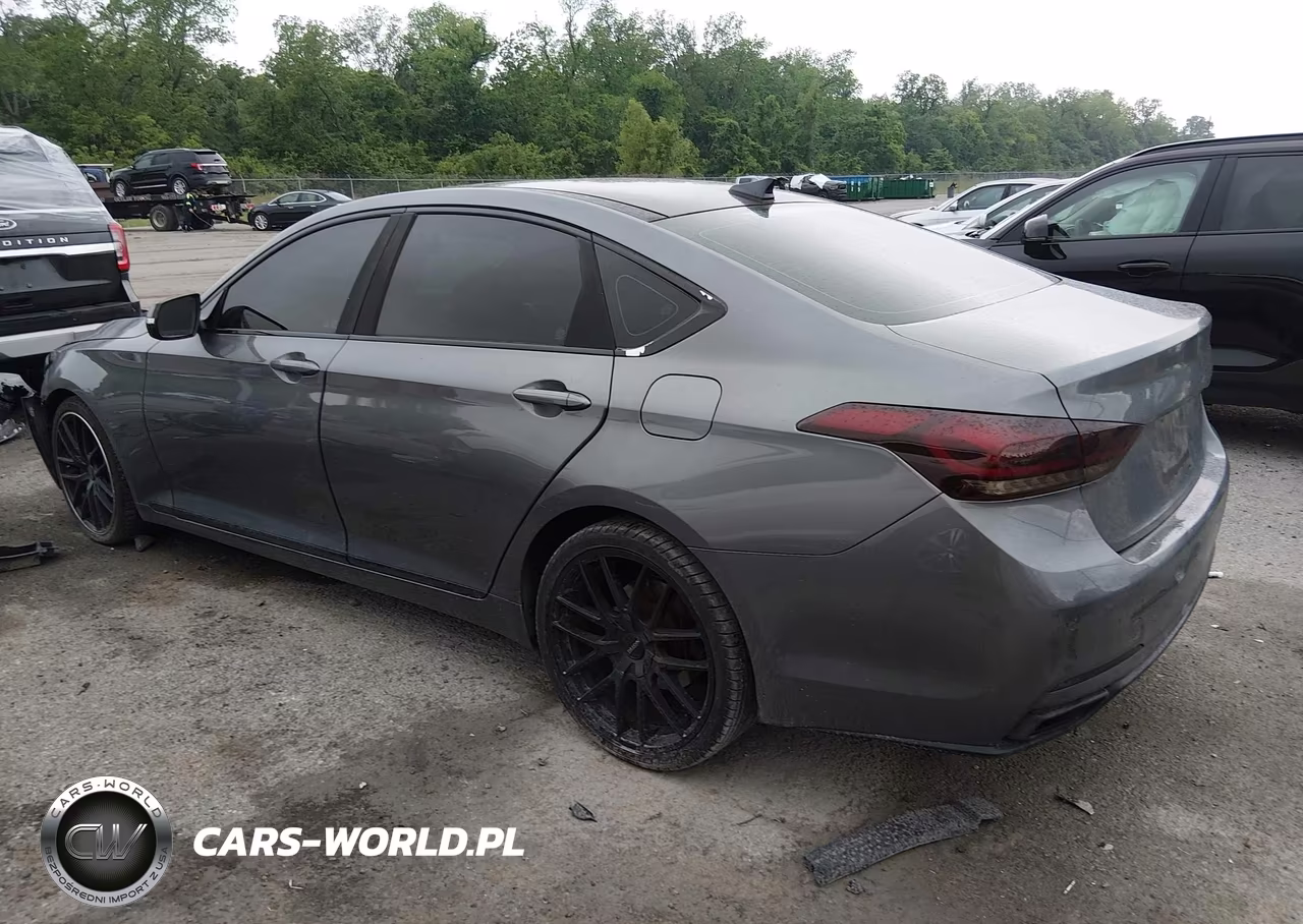 2015 Hyundai Genesis 3.8 VIN:KMHGN4JE4FU053556 - 14