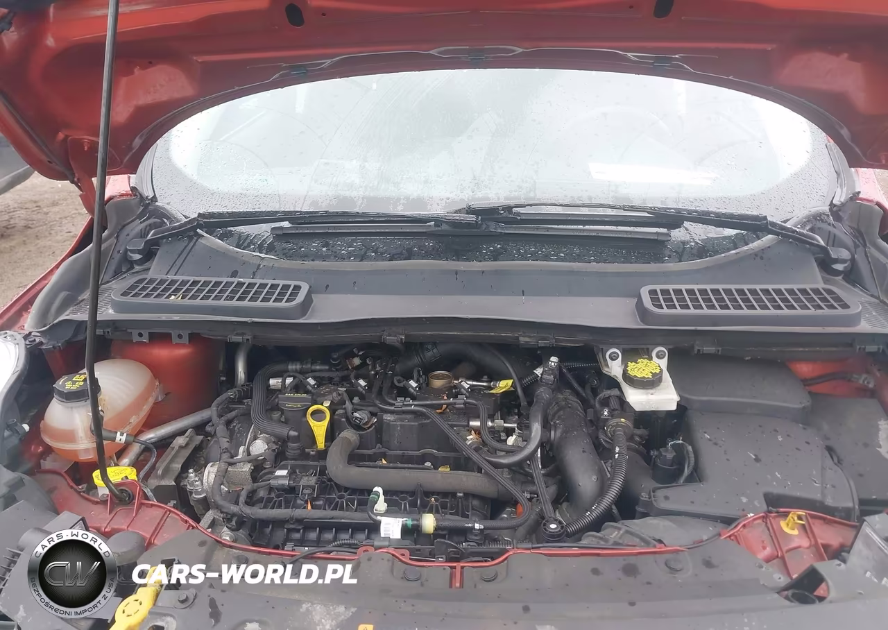 2019 Ford Escape Sel VIN:1FMCU9HD3KUC50272 - 10