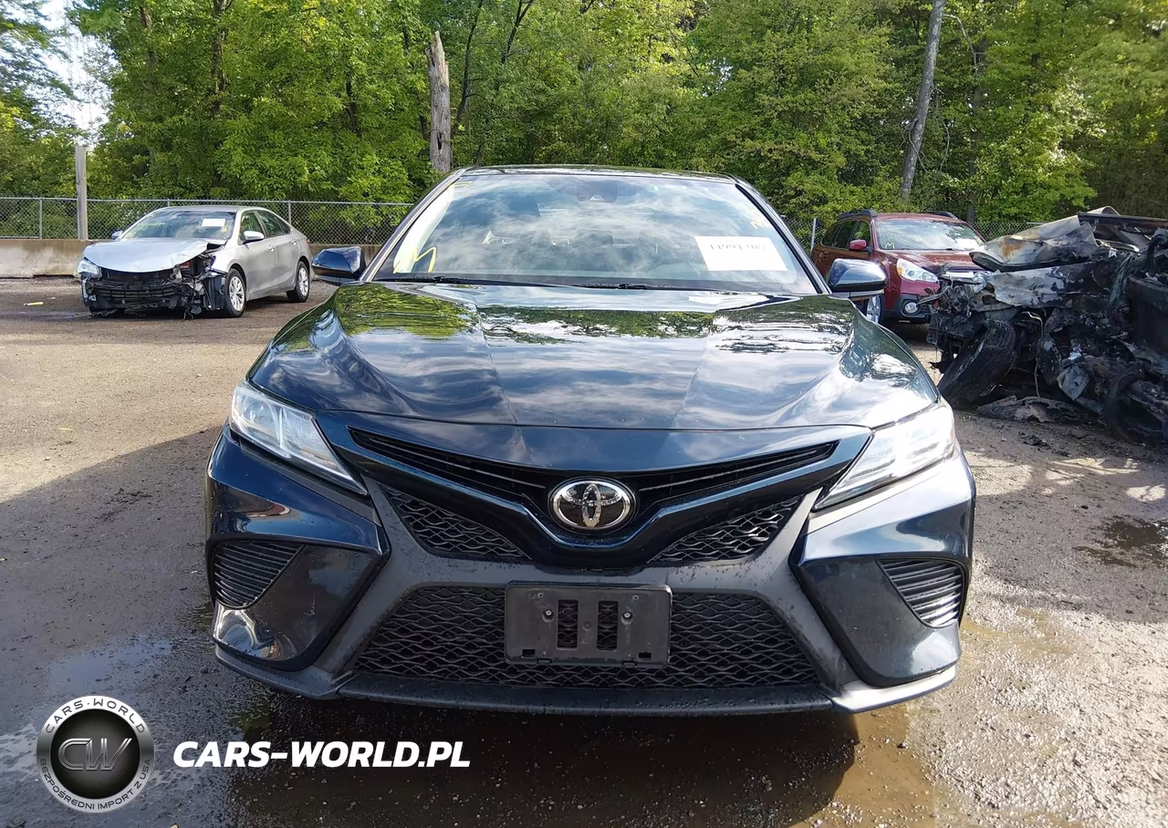 2019 Toyota Camry Se VIN:4T1B11HK0KU725526 - 12