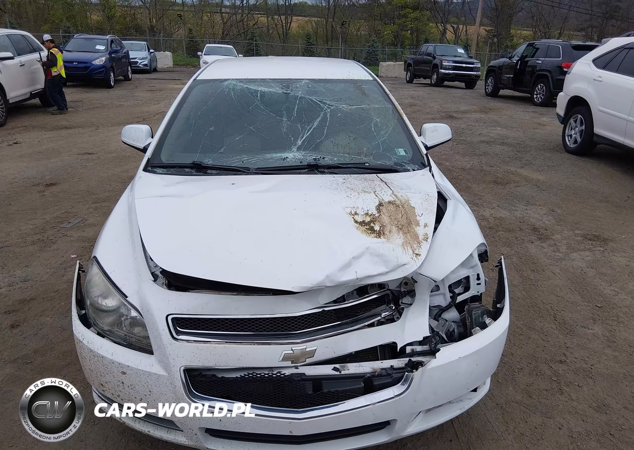 2009 Chevrolet Malibu Lt VIN:1G1ZH57B69F239771 - 6
