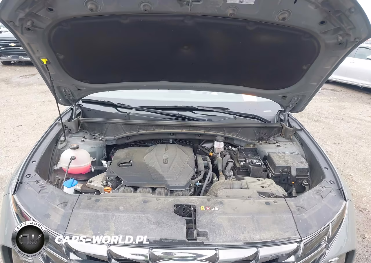 2024 Hyundai Tucson Limited VIN:5NMJE3DE5RH397375 - 10