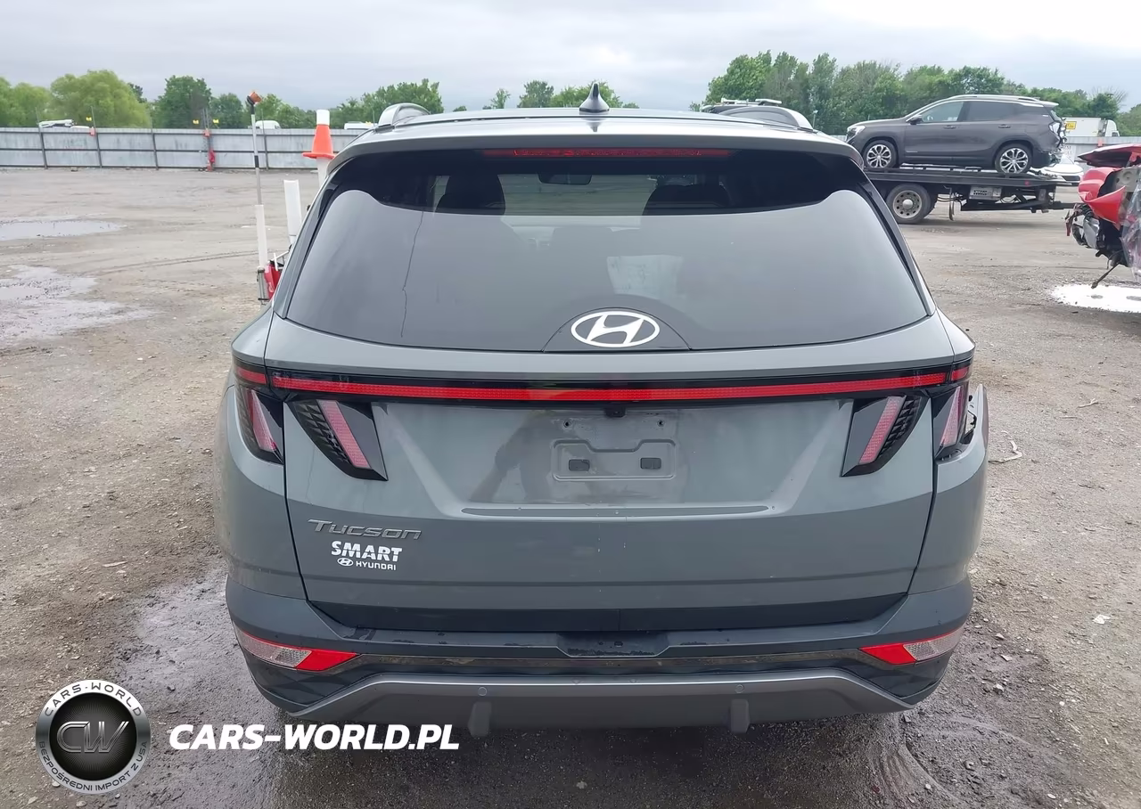 2024 Hyundai Tucson Limited VIN:5NMJE3DE5RH397375 - 17