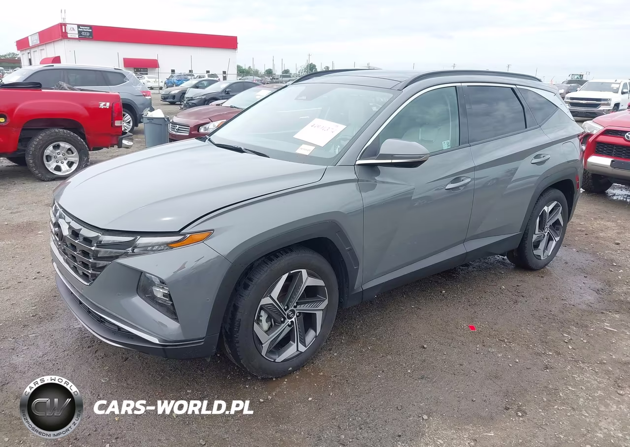 2024 Hyundai Tucson Limited VIN:5NMJE3DE5RH397375 - 2