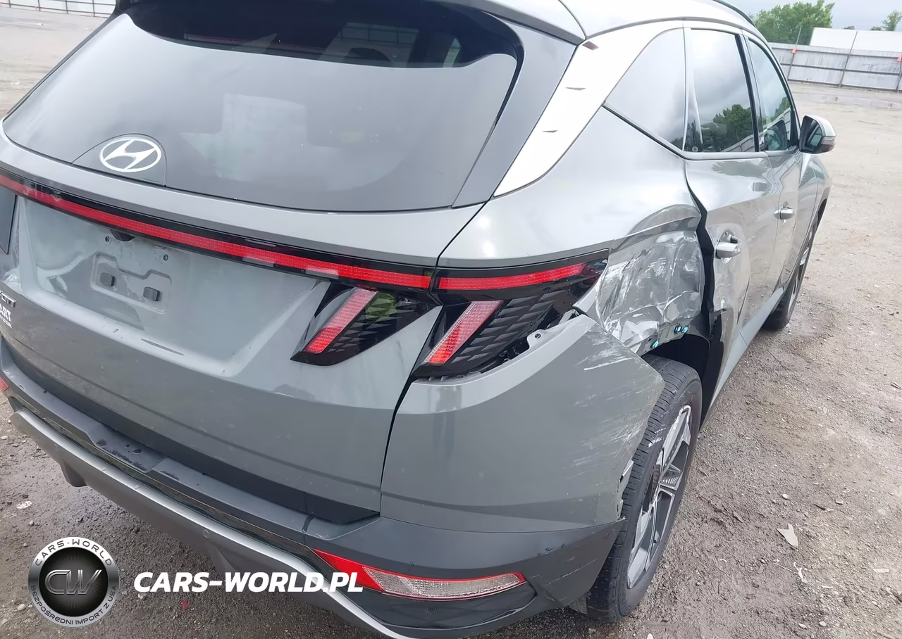 2024 Hyundai Tucson Limited VIN:5NMJE3DE5RH397375 - 20