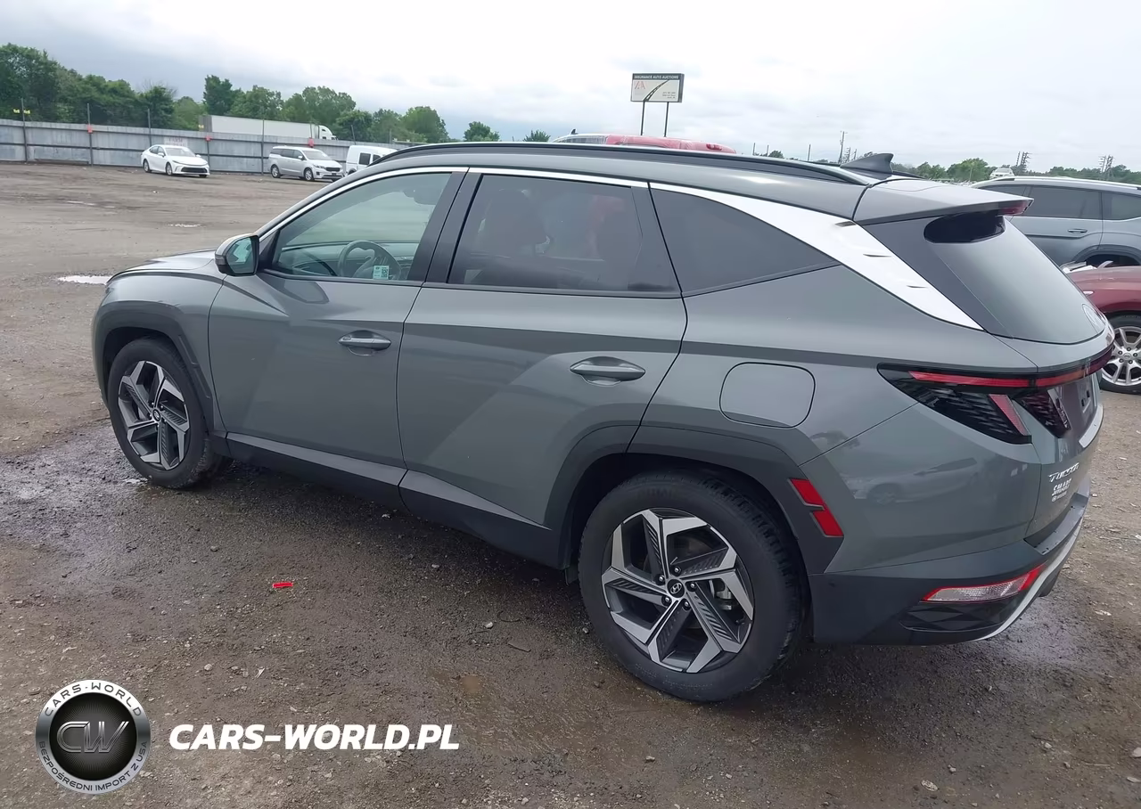 2024 Hyundai Tucson Limited VIN:5NMJE3DE5RH397375 - 3