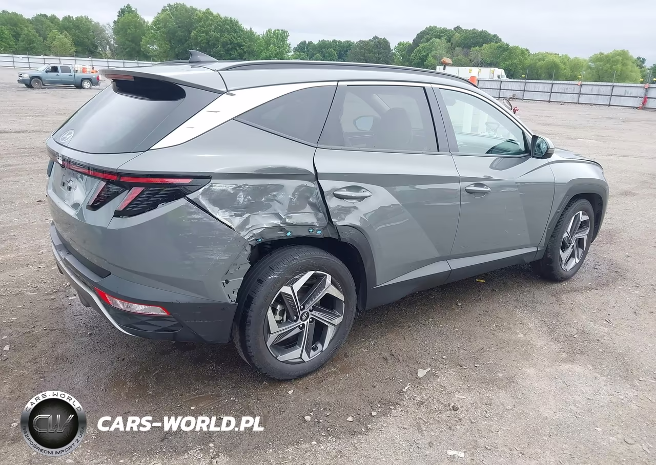 2024 Hyundai Tucson Limited VIN:5NMJE3DE5RH397375 - 4