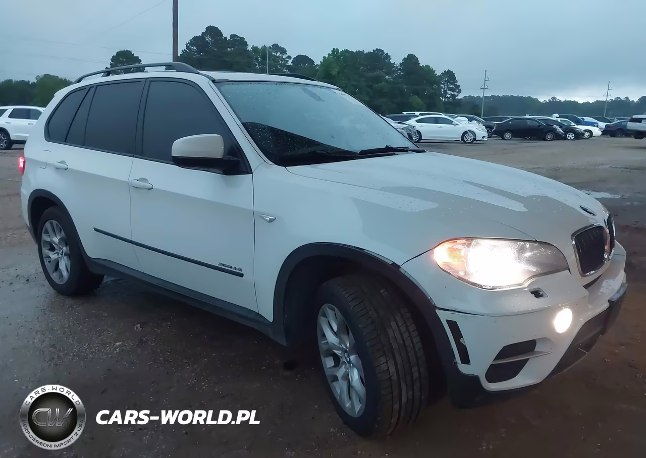 2013 BMW X5 xDrive35I-xDrive35I Premium-xDrive35I Sport Activity