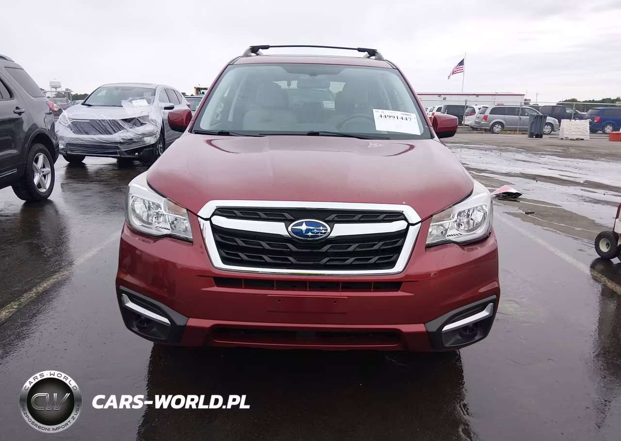 2017 Subaru Forester 2.5I Premium VIN:JF2SJAEC0HH596711 - 13