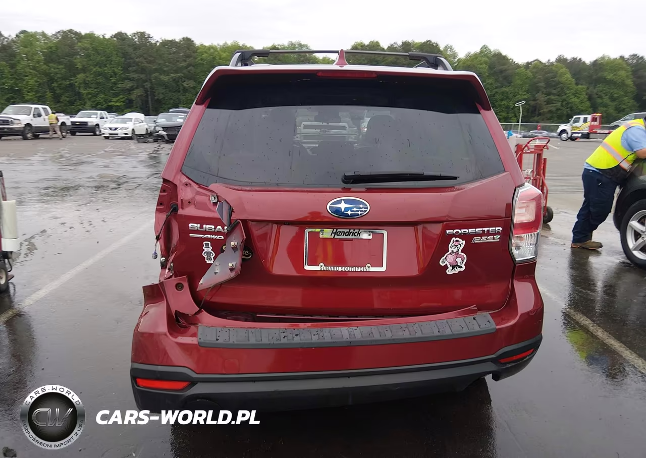 2017 Subaru Forester 2.5I Premium VIN:JF2SJAEC0HH596711 - 17