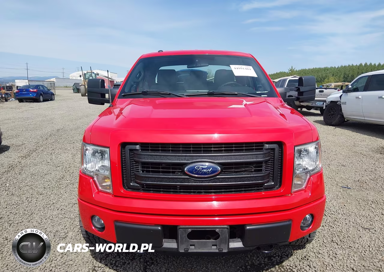 2013 Ford F-150 Stx VIN:1FTFX1EF9DFD56104 - 13