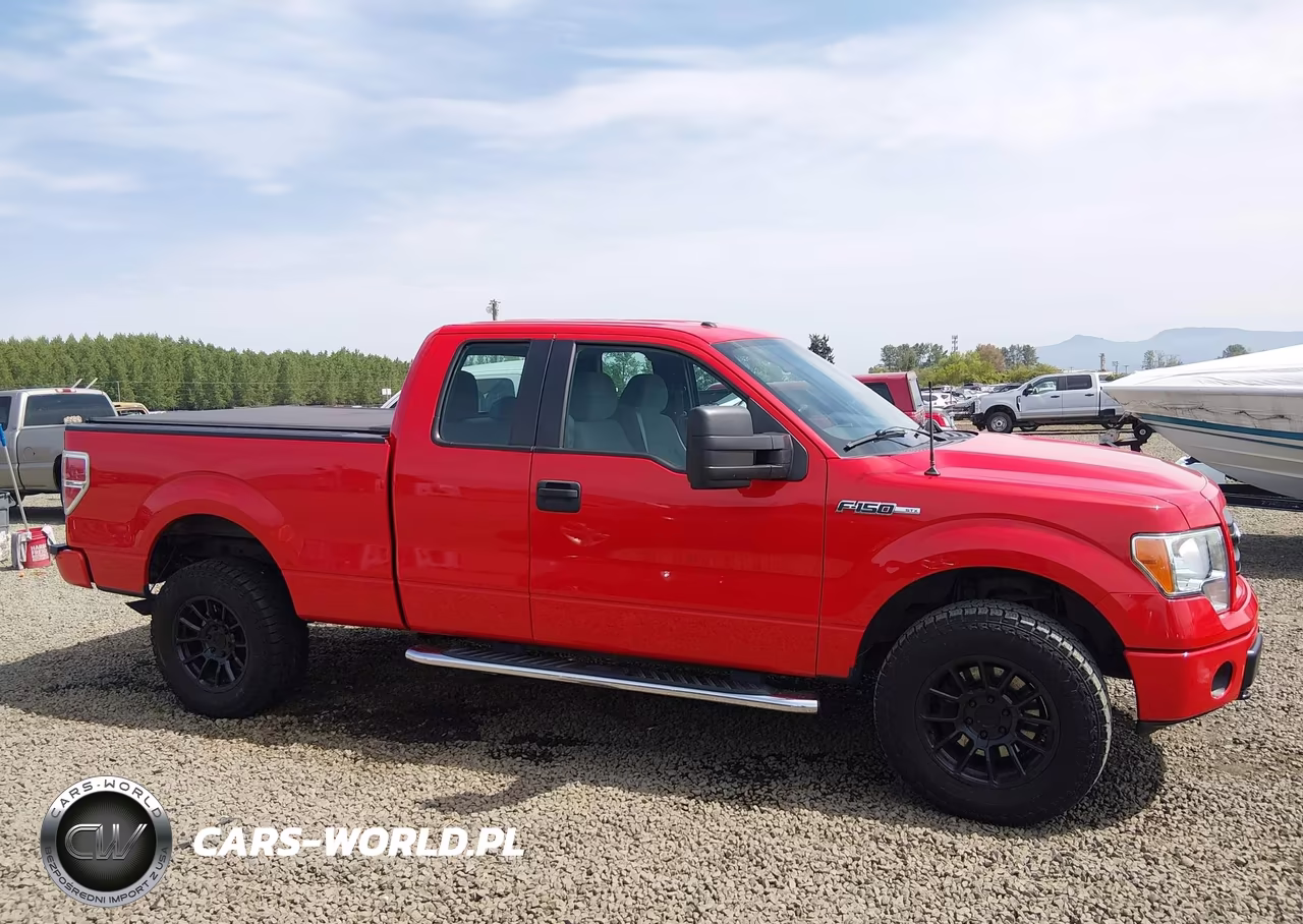 2013 Ford F-150 Stx VIN:1FTFX1EF9DFD56104 - 14