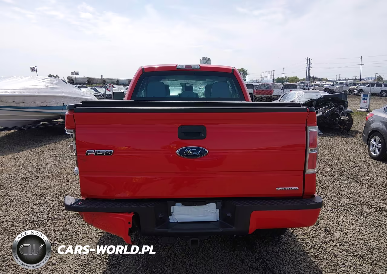 2013 Ford F-150 Stx VIN:1FTFX1EF9DFD56104 - 17