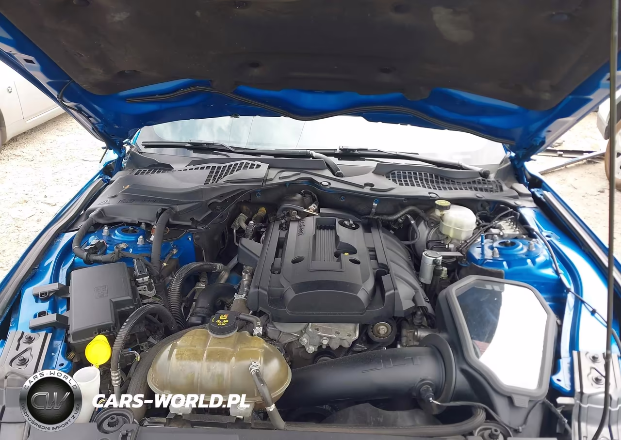 2019 Ford Mustang Ecoboost VIN:1FA6P8TH0K5163538 - 10