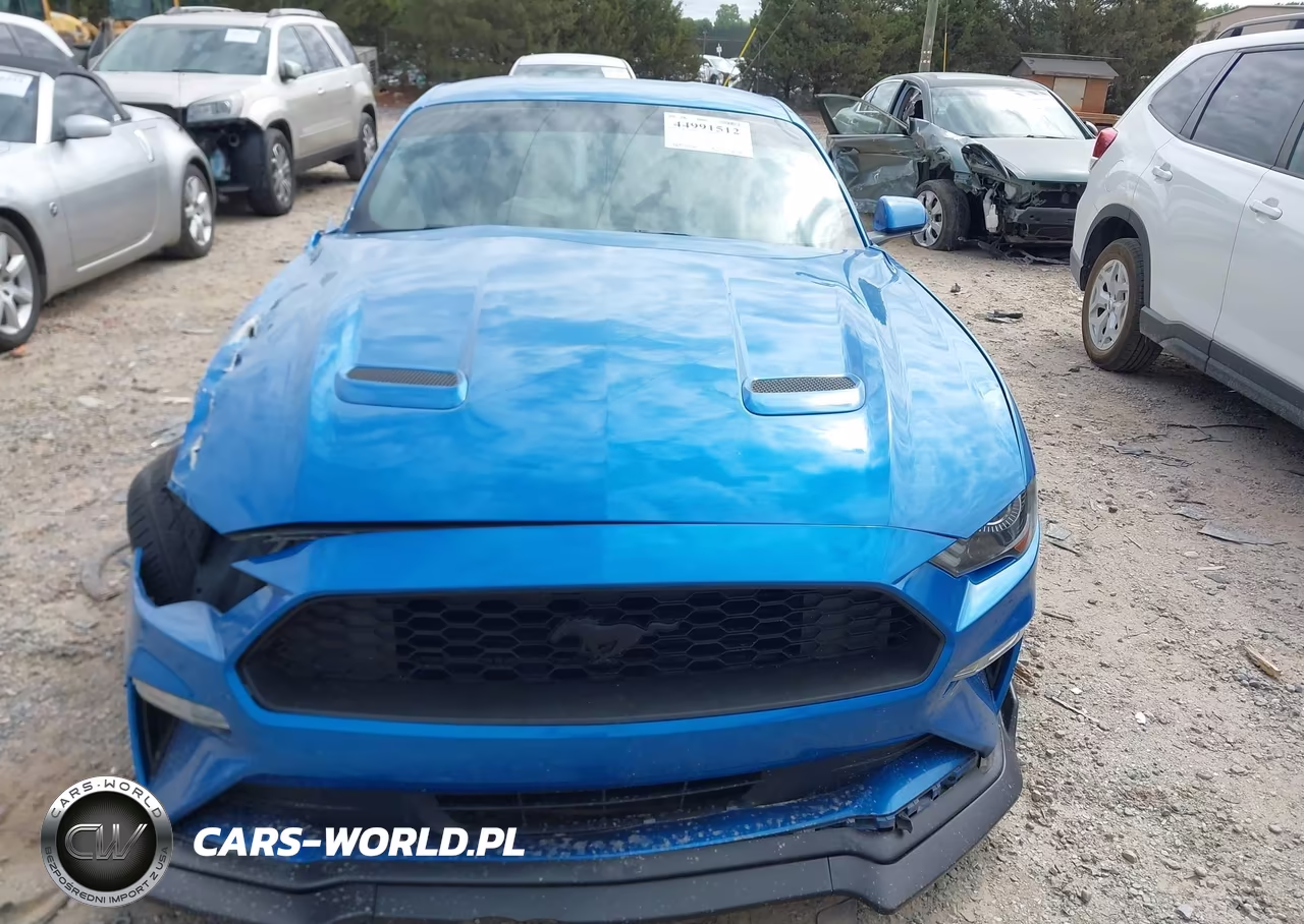 2019 Ford Mustang Ecoboost VIN:1FA6P8TH0K5163538 - 11