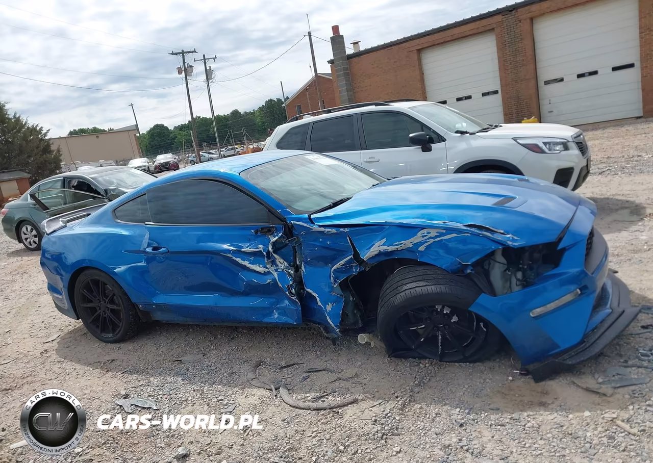 2019 Ford Mustang Ecoboost VIN:1FA6P8TH0K5163538 - 12