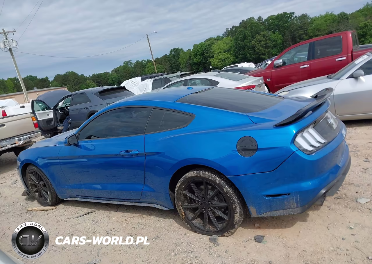 2019 Ford Mustang Ecoboost VIN:1FA6P8TH0K5163538 - 13