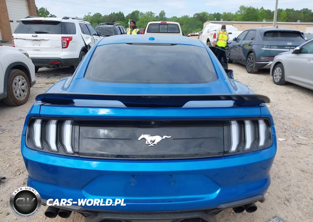 2019 Ford Mustang Ecoboost VIN:1FA6P8TH0K5163538 - 15