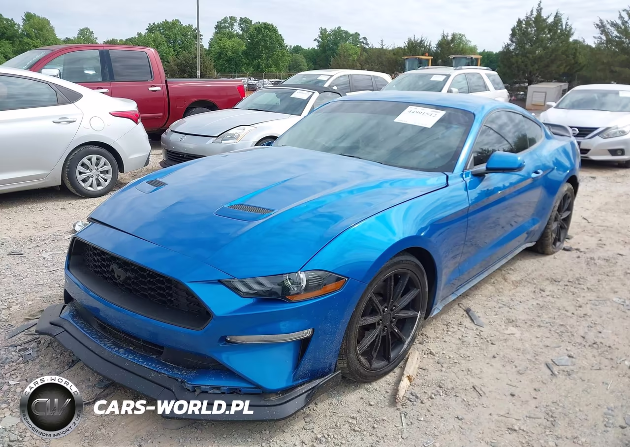2019 Ford Mustang Ecoboost VIN:1FA6P8TH0K5163538 - 2